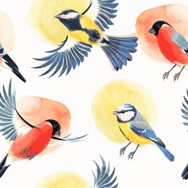 Sorunsuz şakrak kuşu ve tomtit