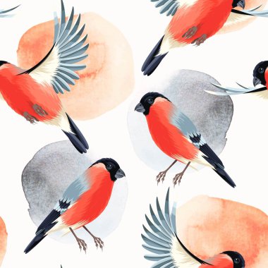 Uçan ve bullfinches sorunsuz oturan