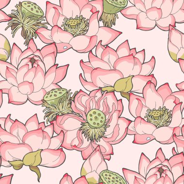 Çiçek açan lotus sorunsuz