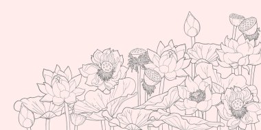 Çalılıkları Lotus