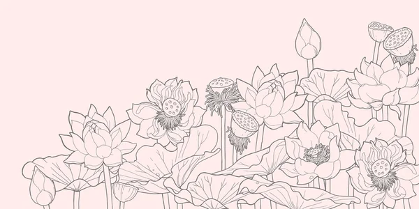 Kreupelhout van lotus — Stockvector
