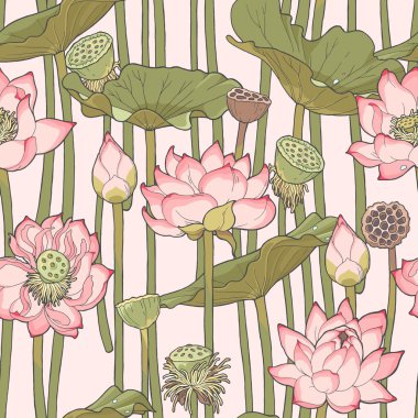 Çiçek açan lotus sorunsuz