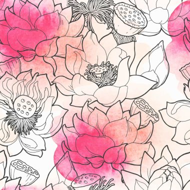 Çiçek açan lotus sorunsuz