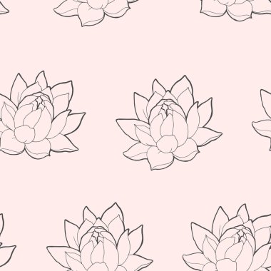 Çiçek açan lotus sorunsuz