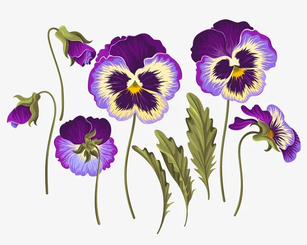 Ensemble de fleurs panachées — Image vectorielle
