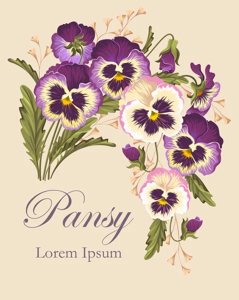 Vintage card with pansies — Stock Vector