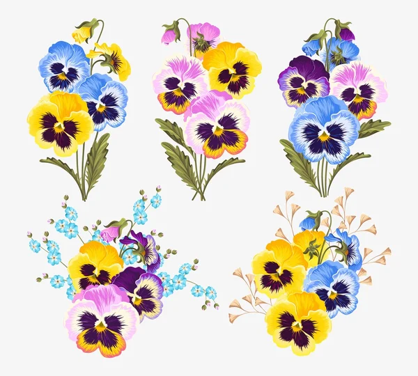 Ensemble de bouquets de pansy — Image vectorielle