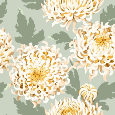 Kusursuz Japon krizantem