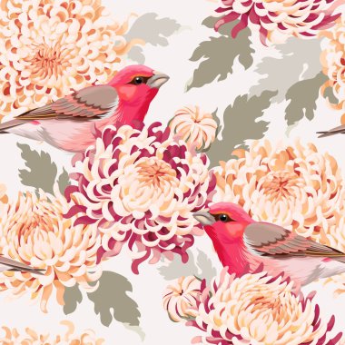 Sorunsuz Kasımpatı ve kuşlar