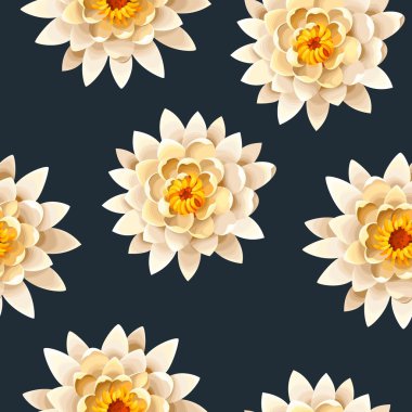 Çiçek açan lotus sorunsuz
