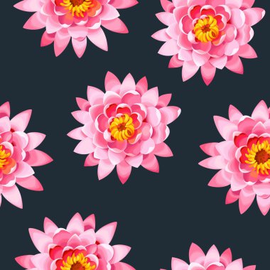 Çiçek açan lotus sorunsuz