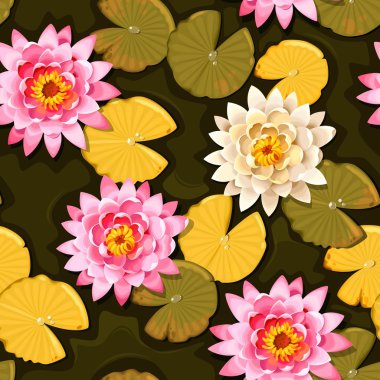 Çiçek açan lotus sorunsuz