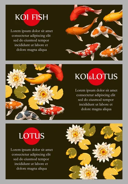 Κάρτες με ψάρια koi και lotus — Διανυσματικό Αρχείο