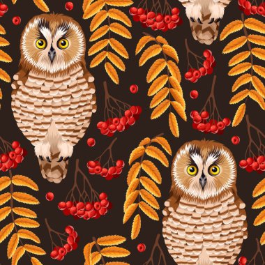 Sorunsuz baykuş ve rowan