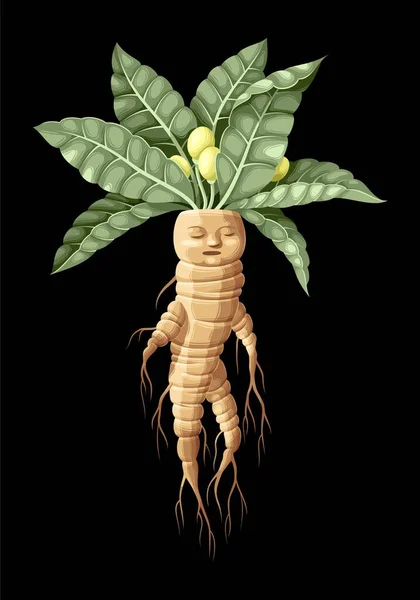Vektor illustration av Mandrake med mänskligt ansikte — Stock vektor
