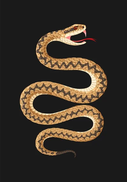 Ilustración vectorial de serpiente víbora de alto detalle — Vector de stock