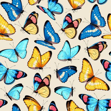 Yüksek detaylı tropik kelebekli vektör deseni