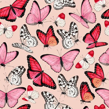 Yüksek detaylı tropik kelebekli vektör deseni