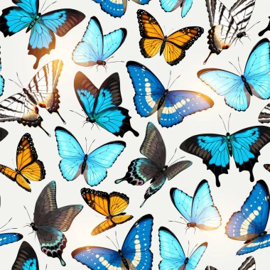 Yüksek detaylı tropik kelebekli vektör deseni