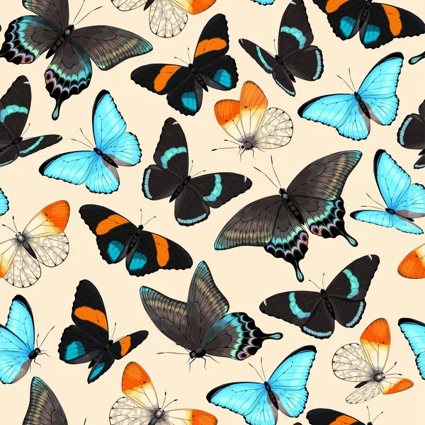 Vectorpatroon met zeer gedetailleerde tropische vlinder — Stockvector