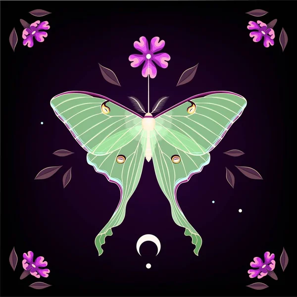 Vector illustration of moon moth and purple flower — Stockový vektor
