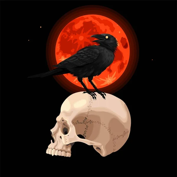 Ilustración vectorial de cuervo y cráneo humano — Archivo Imágenes Vectoriales