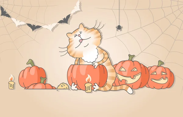 Engraçado gato esculpindo abóboras para halloween — Vetor de Stock