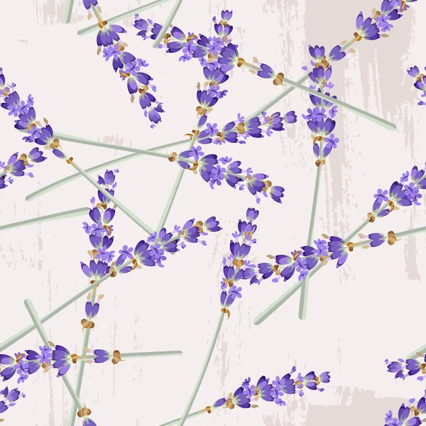 Naadloze lavendel achtergrond — Stockvector