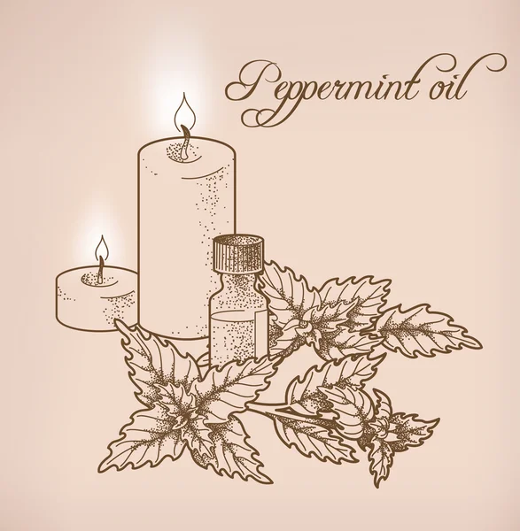 Peppermint essential oil and candles — Stock Vector