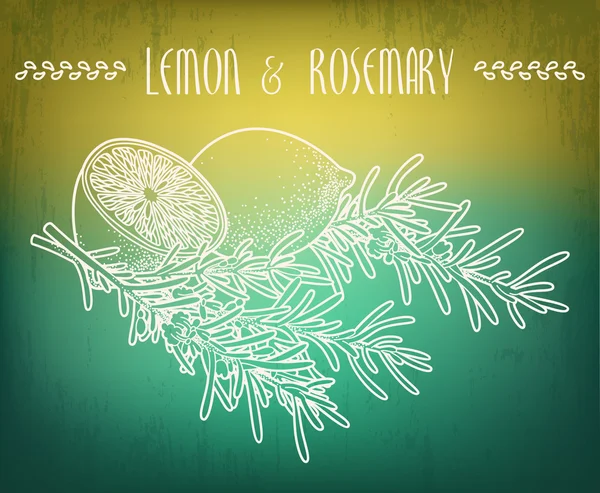 Lemon and rosemary — Stock Vector