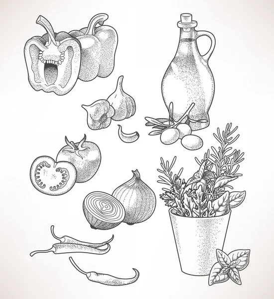 Оливкова олія, овочі та трави — стоковий вектор