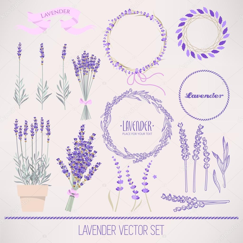 Lavender set Stock Vector by ©Greylilac 79740346