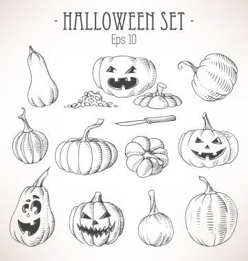 Bir çift balkabağı