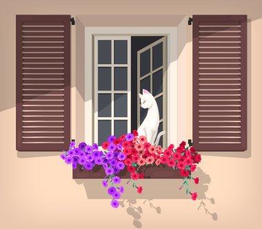 Kedi ile açık pencere