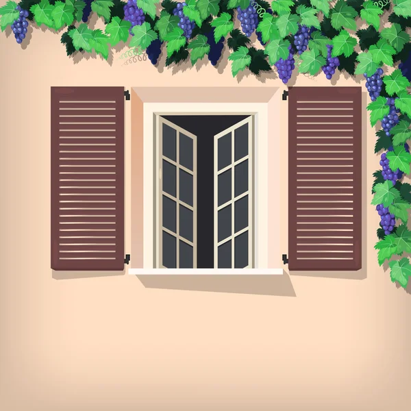 Videira e janela de uva — Vetor de Stock