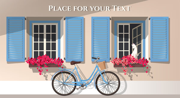 Окна и велосипед
