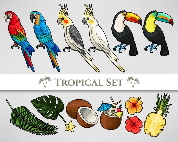 Tropical vector set — Stock Vector