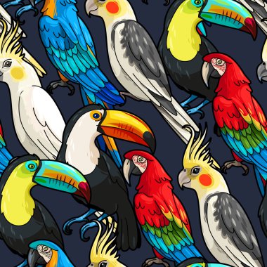 Sorunsuz Amerika papağanı ve toucan