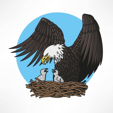 Kel kartal yuvaya