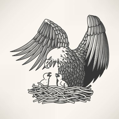 Kel kartal yuvaya