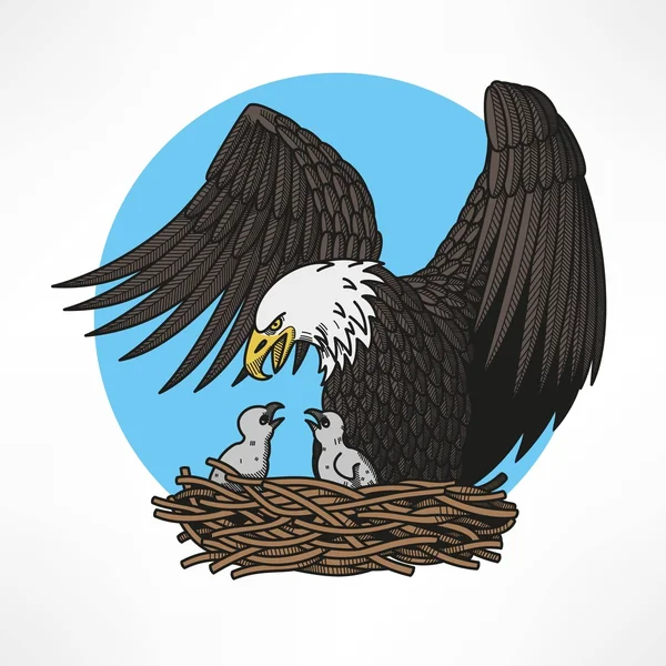 Bald eagle in het nest — Stockvector