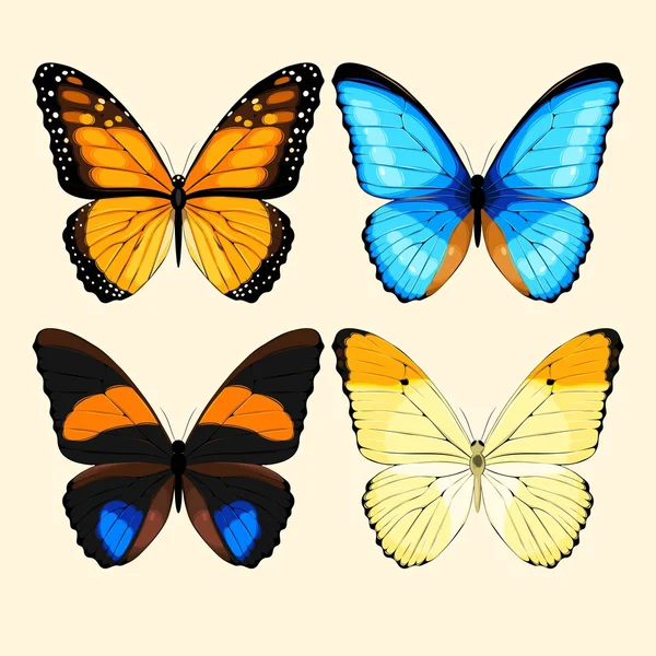 Collection of butterflies — Stock Vector