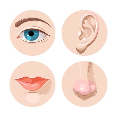 Eye, ear, mouth and nose clipart