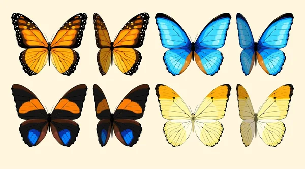 तितलियों का संग्रह — स्टॉक वेक्टर