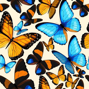 Mavi kelebekler sorunsuz