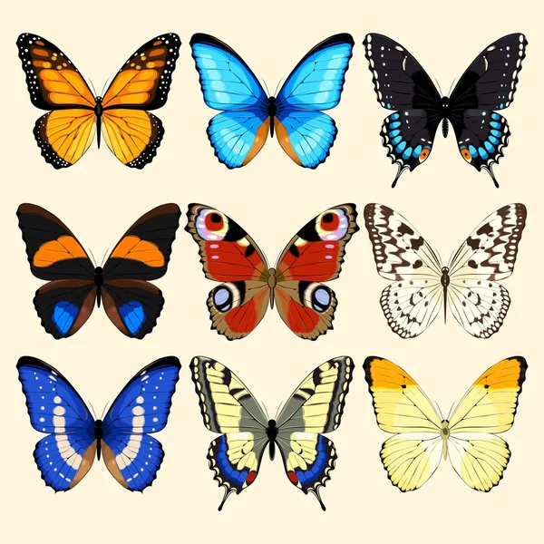 Colección de mariposas Vector De Stock