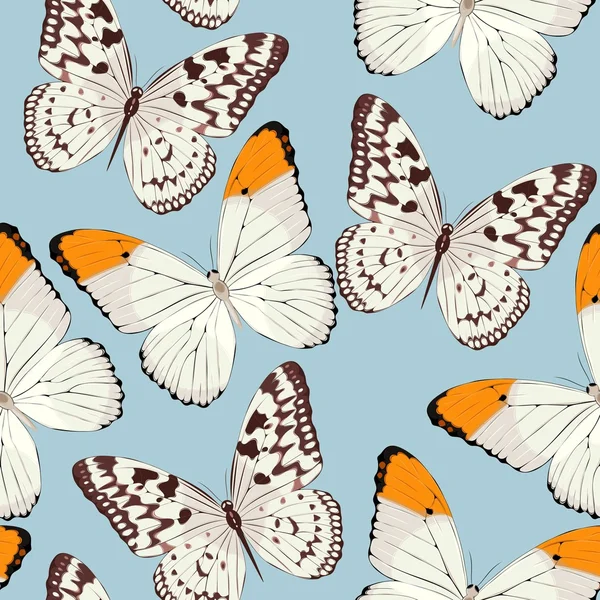 Mariposas coloridas sin costuras — Archivo Imágenes Vectoriales