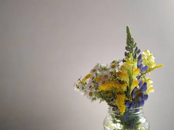 Verschillende Wilde Bloemen Een Transparante Vaas Een Witte Achtergrond — Stockfoto