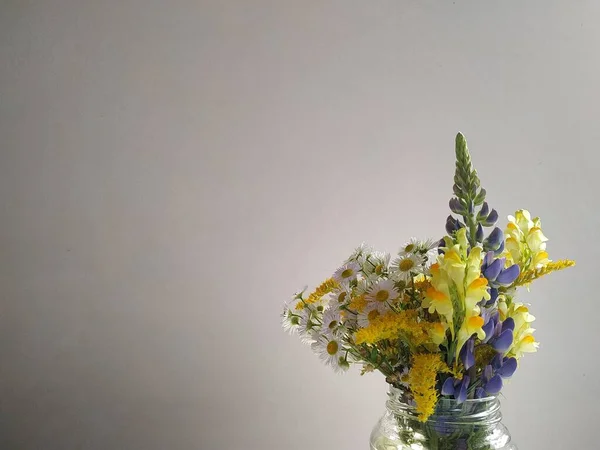 Différentes Fleurs Sauvages Dans Vase Transparent Sur Fond Blanc — Photo