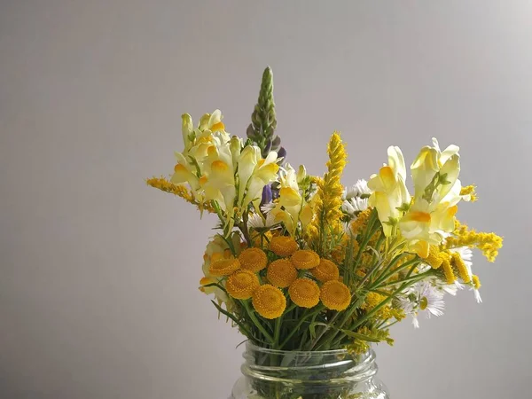 Olika Vilda Blommor Transparent Vas Vit Bakgrund — Stockfoto